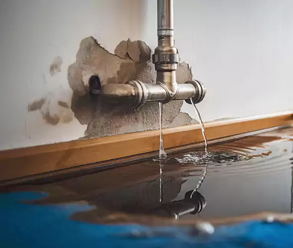 Professional Water Damage Restoration Experts in Massapequa Park, NY — Fast, Reliable & Certified