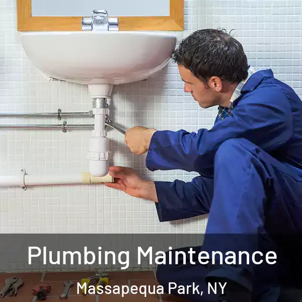  Plumbing Maintenance Massapequa Park, NY