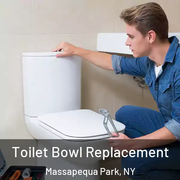  Toilet Bowl Replacement Massapequa Park, NY