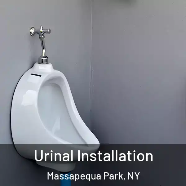  Urinal Installation Massapequa Park, NY